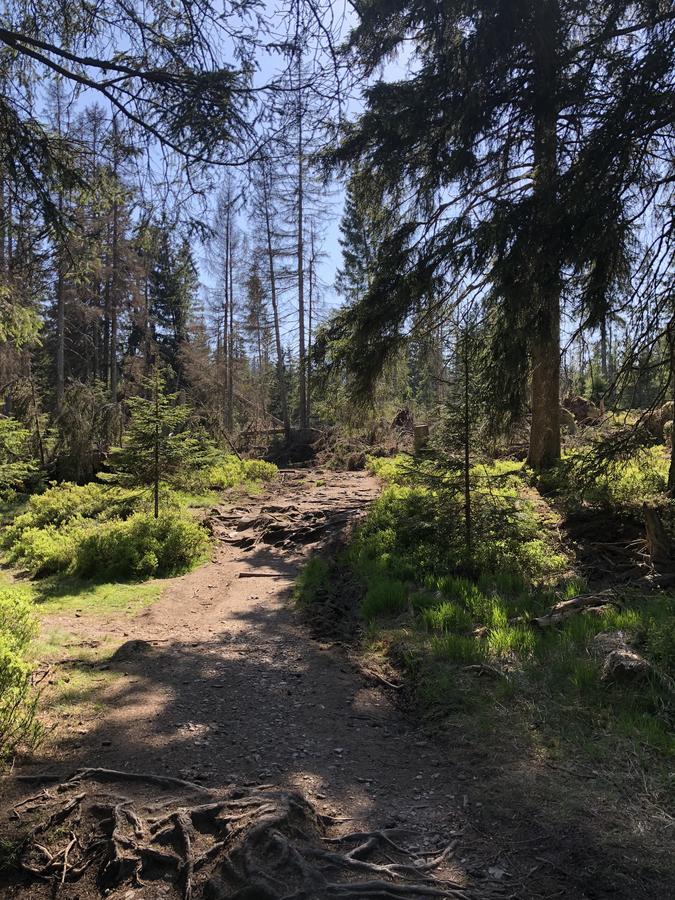 Hexe Ii Braunlage